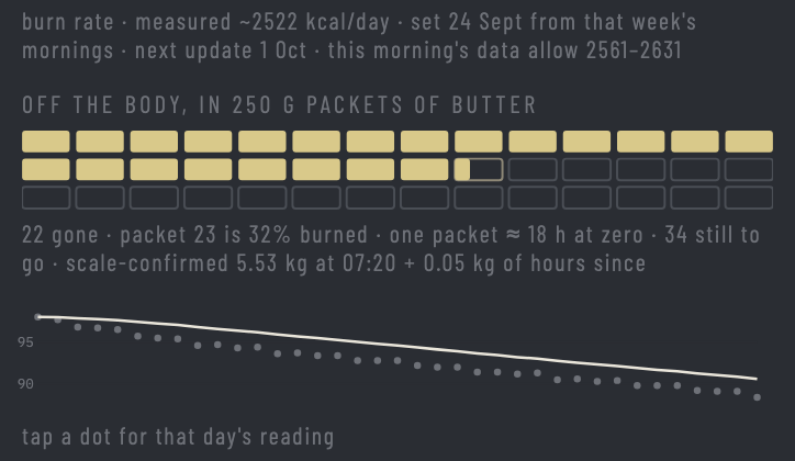History: the burn-rate line, the butter wall in 250 g packets, and the weight trend